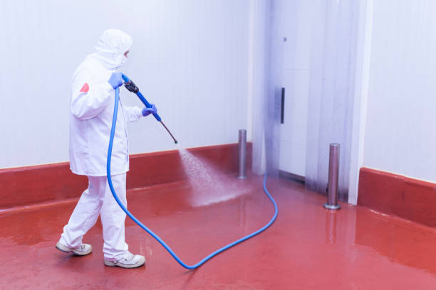 Best Gutter Cleaning and Brightening in Olympia Heights, FL